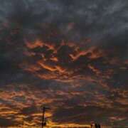 ヒメ日記 2025/06/27 08:31 投稿 奈穂 石巻 奥様食堂