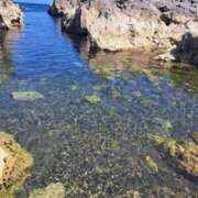 ヒメ日記 2025/07/14 08:26 投稿 奈穂 石巻 奥様食堂