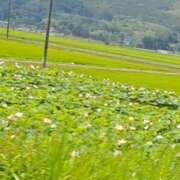 ヒメ日記 2025/07/28 09:21 投稿 奈穂 石巻 奥様食堂