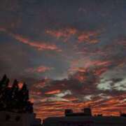 ヒメ日記 2025/07/30 20:01 投稿 奈穂 石巻 奥様食堂