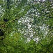 ヒメ日記 2025/08/28 08:41 投稿 奈穂 石巻 奥様食堂