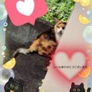 ヒメ日記 2025/08/28 21:51 投稿 奈穂 石巻 奥様食堂