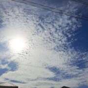 ヒメ日記 2025/08/30 09:31 投稿 奈穂 石巻 奥様食堂