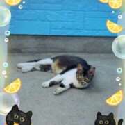 ヒメ日記 2025/09/02 08:31 投稿 奈穂 石巻 奥様食堂