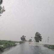 ヒメ日記 2025/09/02 08:51 投稿 奈穂 石巻 奥様食堂