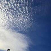 ヒメ日記 2025/09/19 08:31 投稿 奈穂 石巻 奥様食堂