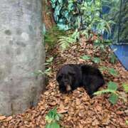 ヒメ日記 2025/09/20 12:45 投稿 奈穂 石巻 奥様食堂