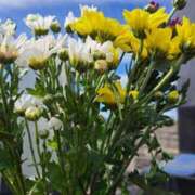 ヒメ日記 2025/09/21 23:11 投稿 奈穂 石巻 奥様食堂