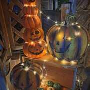 ヒメ日記 2025/09/24 21:11 投稿 奈穂 石巻 奥様食堂