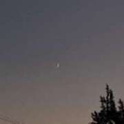 ヒメ日記 2025/09/27 09:11 投稿 奈穂 石巻 奥様食堂