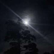 ヒメ日記 2025/10/09 23:48 投稿 奈穂 石巻 奥様食堂