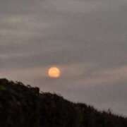 ヒメ日記 2025/11/06 08:41 投稿 奈穂 石巻 奥様食堂