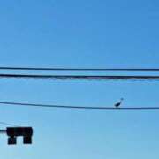 ヒメ日記 2025/11/25 08:31 投稿 奈穂 石巻 奥様食堂