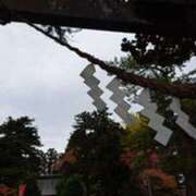 ヒメ日記 2025/11/28 08:31 投稿 奈穂 石巻 奥様食堂