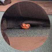 奈穂 忘れてた事 石巻 奥様食堂