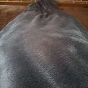 ヒメ日記 2025/12/13 10:51 投稿 奈穂 石巻 奥様食堂