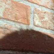 ヒメ日記 2025/12/15 08:41 投稿 奈穂 石巻 奥様食堂