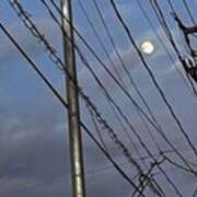 ヒメ日記 2025/02/12 08:31 投稿 みほ 石巻 奥様食堂