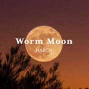 ヒメ日記 2025/03/15 06:41 投稿 みほ 石巻 奥様食堂