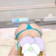 ヒメ日記 2025/03/28 09:23 投稿 みほ 石巻 奥様食堂