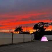 ヒメ日記 2025/04/28 05:31 投稿 みほ 石巻 奥様食堂