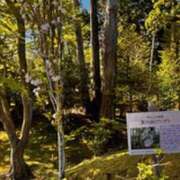 ヒメ日記 2025/05/01 21:11 投稿 みほ 石巻 奥様食堂