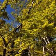 ヒメ日記 2025/05/01 21:21 投稿 みほ 石巻 奥様食堂