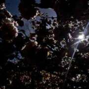 ヒメ日記 2025/05/02 09:51 投稿 みほ 石巻 奥様食堂