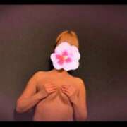 ヒメ日記 2025/05/10 06:31 投稿 みほ 石巻 奥様食堂