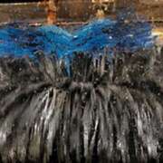 ヒメ日記 2025/05/13 09:02 投稿 みほ 石巻 奥様食堂