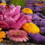 ヒメ日記 2025/06/05 06:21 投稿 みほ 石巻 奥様食堂