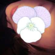 ヒメ日記 2025/06/06 04:46 投稿 みほ 石巻 奥様食堂