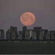 ヒメ日記 2025/06/12 08:31 投稿 みほ 石巻 奥様食堂