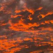 ヒメ日記 2025/06/27 08:51 投稿 みほ 石巻 奥様食堂