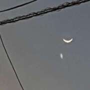 ヒメ日記 2025/06/28 07:32 投稿 みほ 石巻 奥様食堂