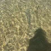 ヒメ日記 2025/07/31 17:41 投稿 みほ 石巻 奥様食堂