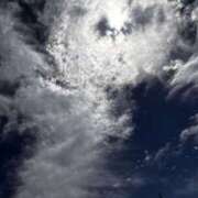 ヒメ日記 2025/08/10 07:51 投稿 みほ 石巻 奥様食堂