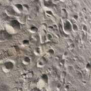 ヒメ日記 2025/08/18 14:31 投稿 みほ 石巻 奥様食堂