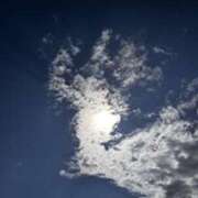 ヒメ日記 2025/08/19 07:21 投稿 みほ 石巻 奥様食堂