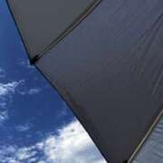 ヒメ日記 2025/08/21 09:51 投稿 みほ 石巻 奥様食堂