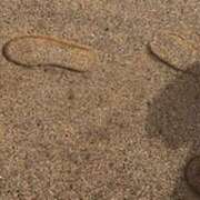 ヒメ日記 2025/08/22 22:01 投稿 みほ 石巻 奥様食堂