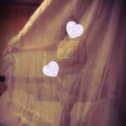 ヒメ日記 2025/08/28 07:31 投稿 みほ 石巻 奥様食堂