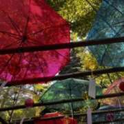 ヒメ日記 2025/09/02 10:51 投稿 みほ 石巻 奥様食堂