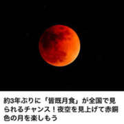 ヒメ日記 2025/09/07 10:41 投稿 みほ 石巻 奥様食堂