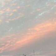 ヒメ日記 2025/10/13 18:11 投稿 みほ 石巻 奥様食堂