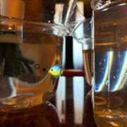 ヒメ日記 2025/10/15 09:21 投稿 みほ 石巻 奥様食堂