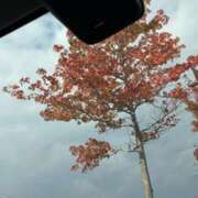 ヒメ日記 2025/10/29 14:51 投稿 みほ 石巻 奥様食堂