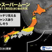 ヒメ日記 2025/11/05 07:51 投稿 みほ 石巻 奥様食堂
