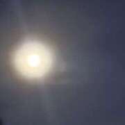 ヒメ日記 2025/11/05 21:11 投稿 みほ 石巻 奥様食堂