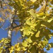 ヒメ日記 2025/11/06 07:31 投稿 みほ 石巻 奥様食堂